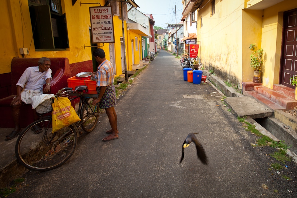cochin-6