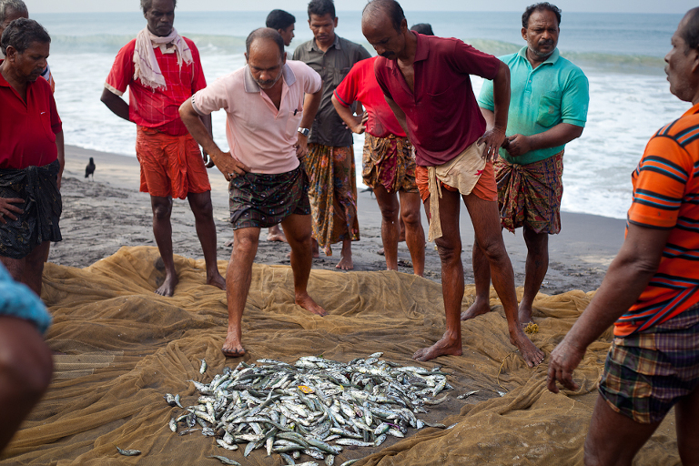 Pêcheurs d'Inde du sud regardant leurs prises